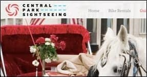 CP Nw York Web Design