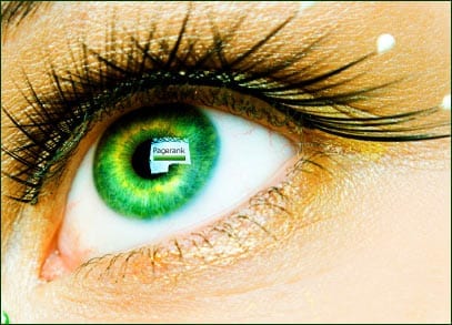 Seeing Green - Google PageRank Toolbar