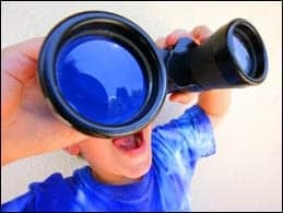 Web Search Engines